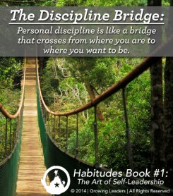 Discipline Bridge