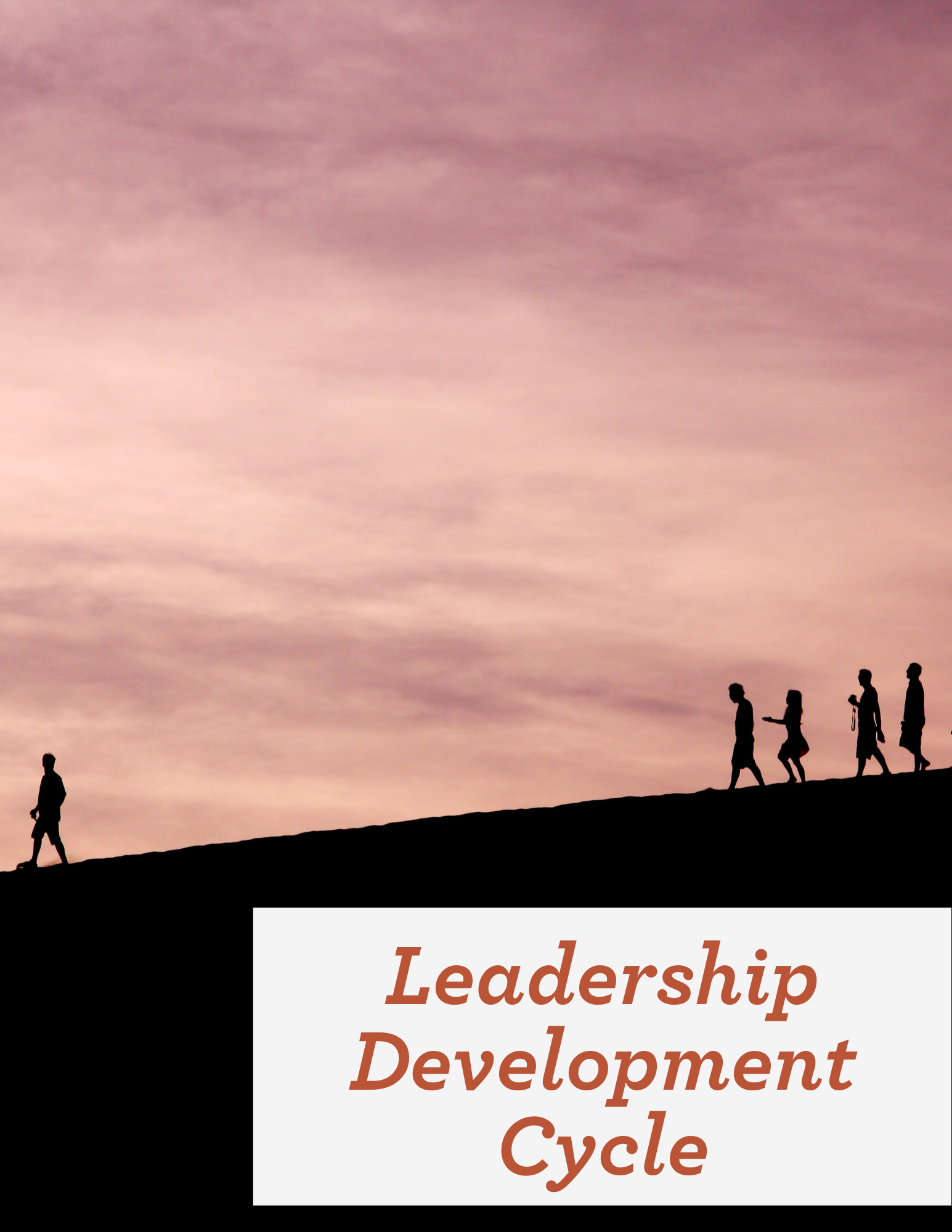 Leadership Development Cycle